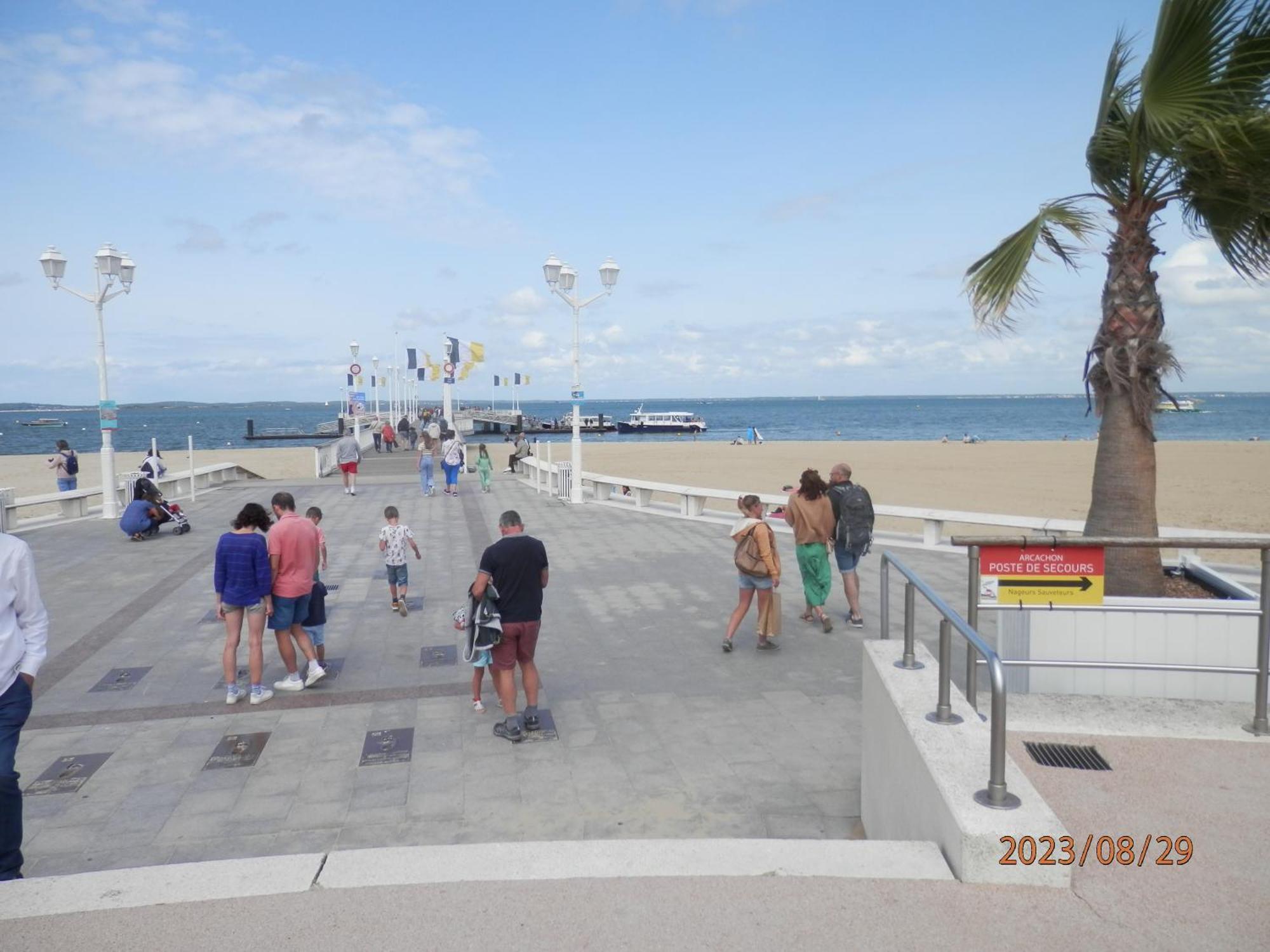 Arcachon Centre 300M Plage 50M Gare Sncf Eksteriør billede